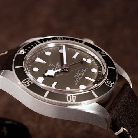 tudor m79010sg 0001